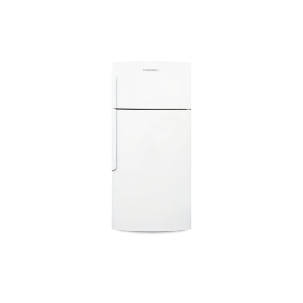 A Fisher and Paykel E521T 517L right hand hinge fridge with its doors closed