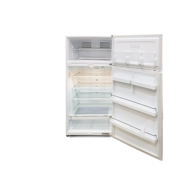 A Fisher and Paykel E521T 517L right hand hinge fridge with its doors closed