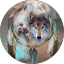 Marthes Micallef Avatar